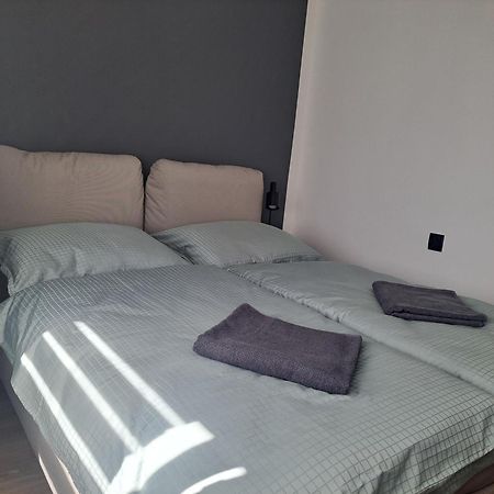 Green Apartament 21 奥斯威辛 外观 照片