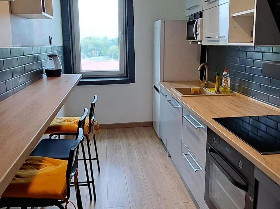 Green Apartament 21 奥斯威辛 外观 照片